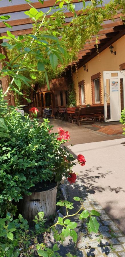 Siedlisko Pod Debem Hotel Wilimy Kültér fotó