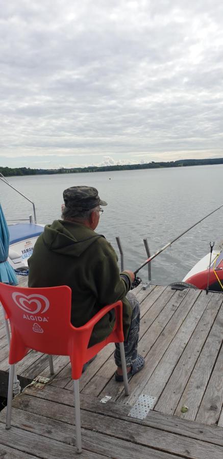 Siedlisko Pod Debem Hotel Wilimy Kültér fotó
