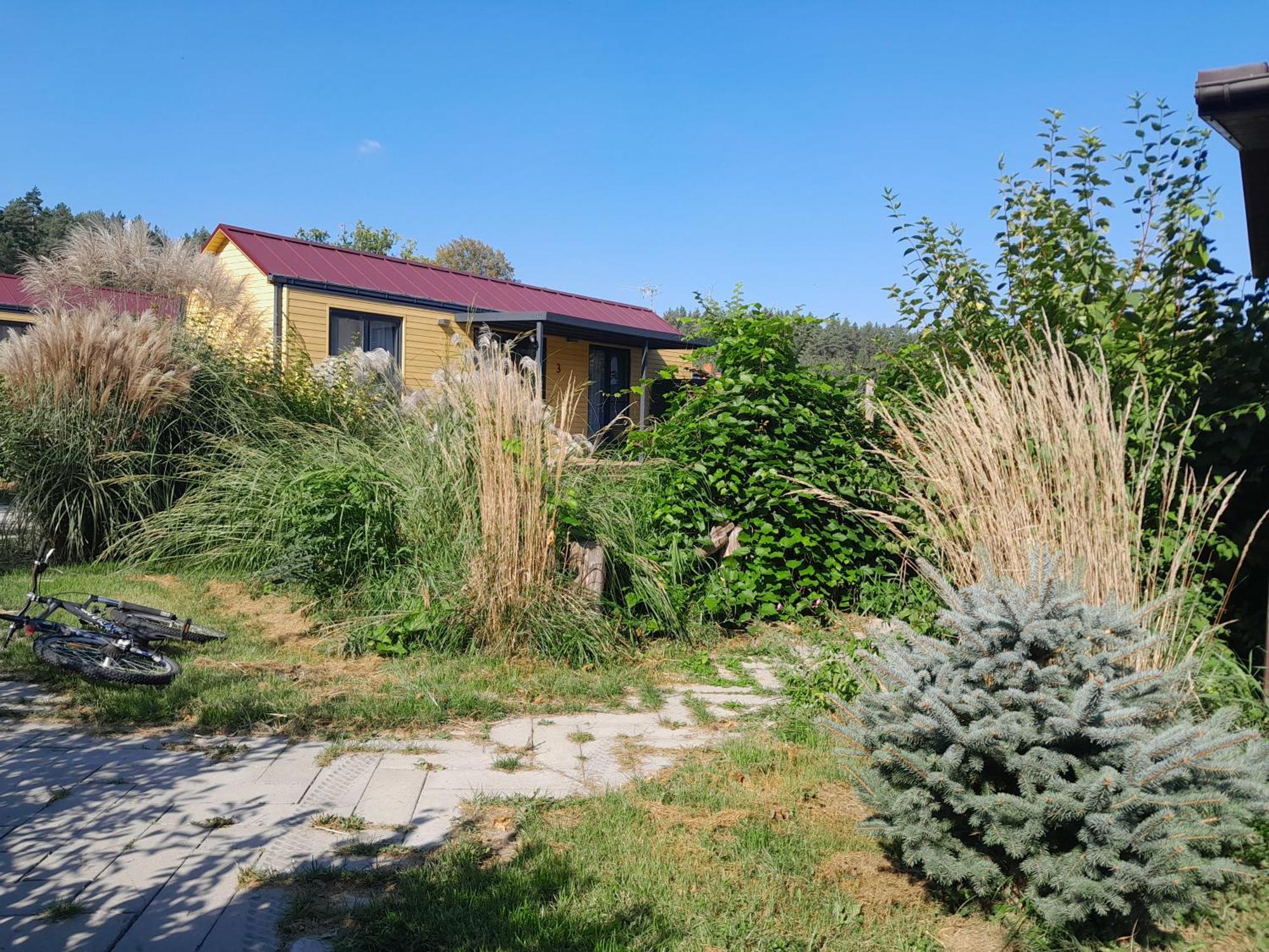 Siedlisko Pod Debem Hotel Wilimy Kültér fotó